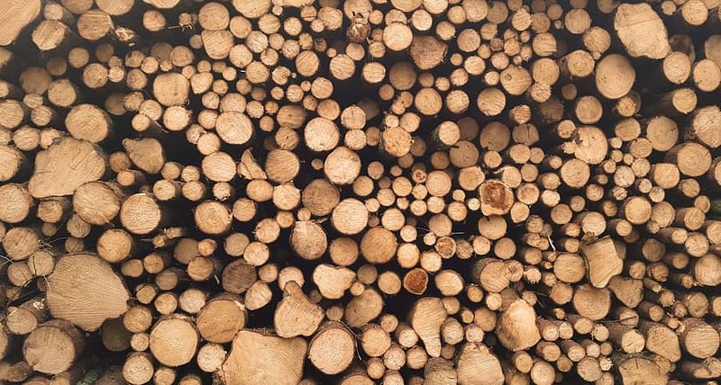 Photo Wood Floor Commercial Service: Installations & Repair In Queens NY- Universal Floors Inc